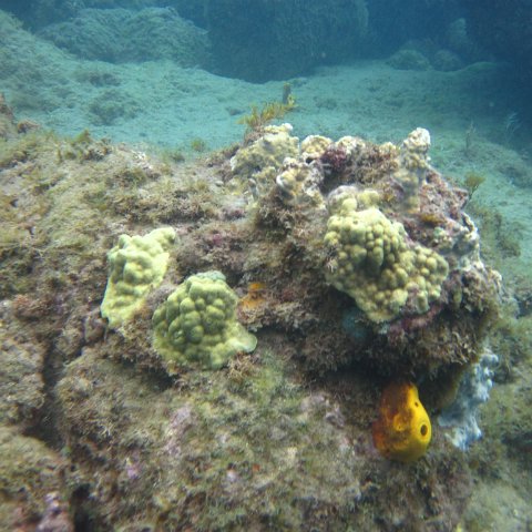 IMG_0867 IMG_0867