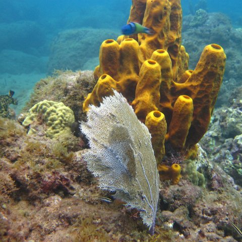 IMG_0870 IMG_0870