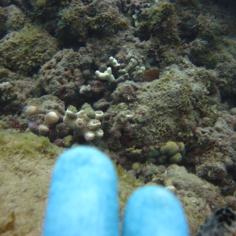 IMG_0872 IMG_0872