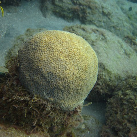 IMG_0873 IMG_0873