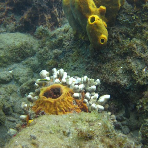 IMG_0874 IMG_0874
