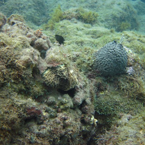 IMG_0875 IMG_0875