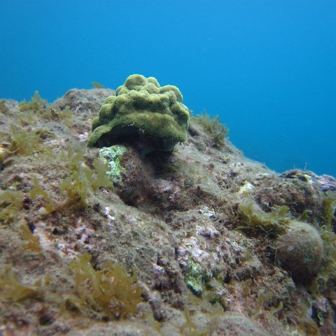 IMG_0878 IMG_0878