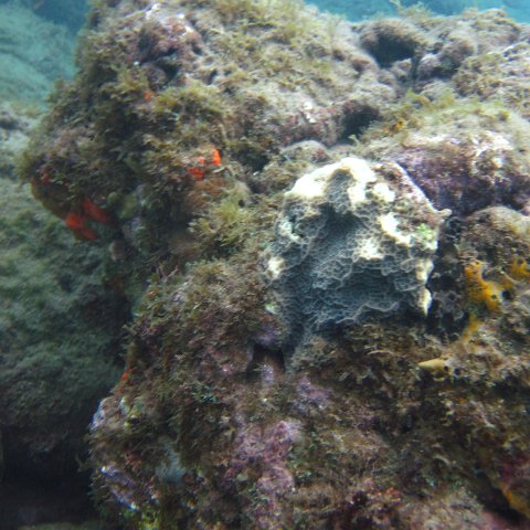 IMG_0880 IMG_0880