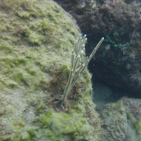 IMG_0882 IMG_0882