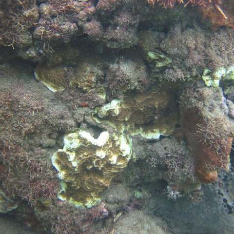 IMG_0885 IMG_0885