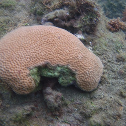 IMG_0887 IMG_0887