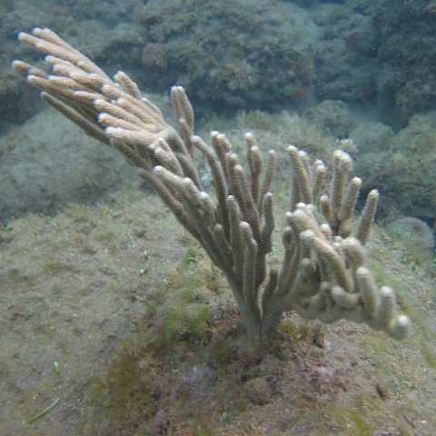 IMG_0888 IMG_0888