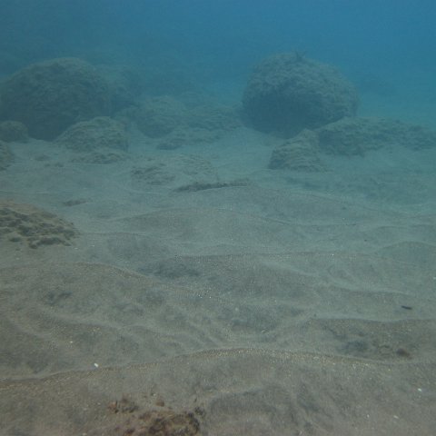IMG_0889 IMG_0889