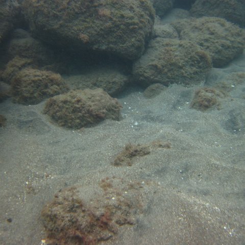 IMG_0890 IMG_0890