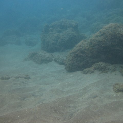 IMG_0891 IMG_0891