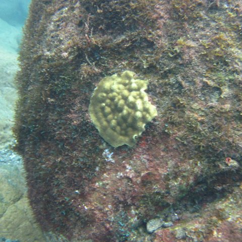 IMG_0895 IMG_0895