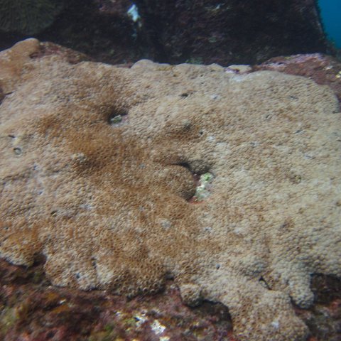 IMG_0904 IMG_0904