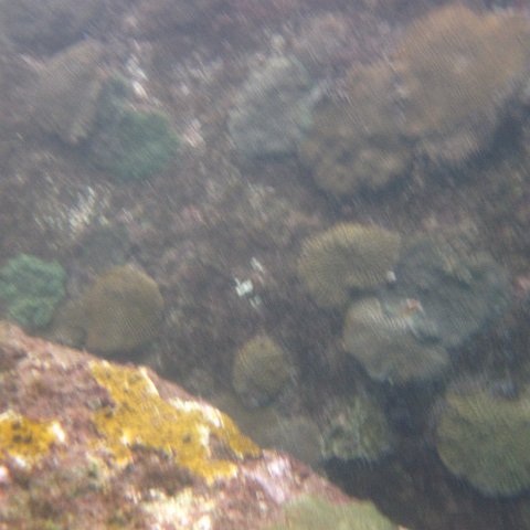 IMG_0905 IMG_0905