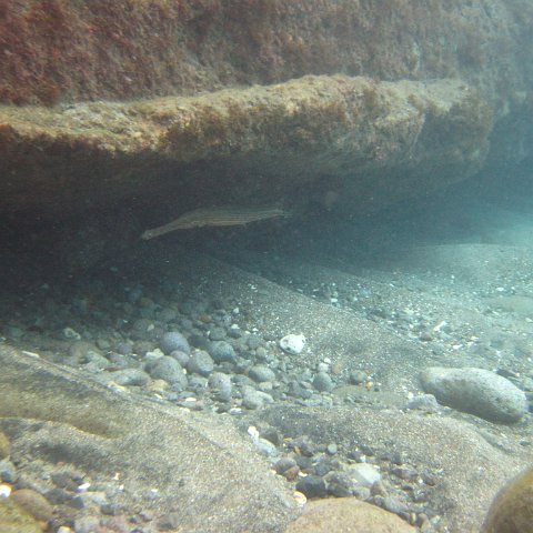 IMG_0907 IMG_0907