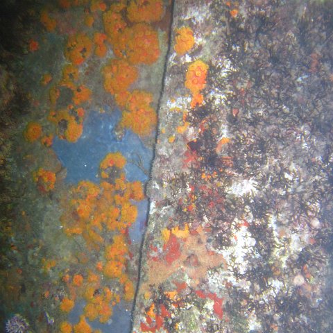 IMG_0909 IMG_0909