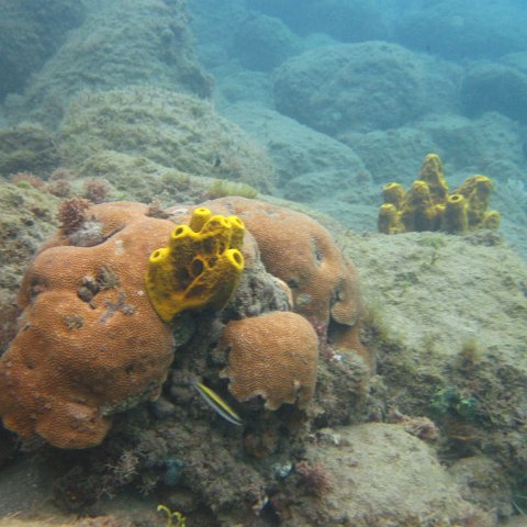 IMG_0913 IMG_0913