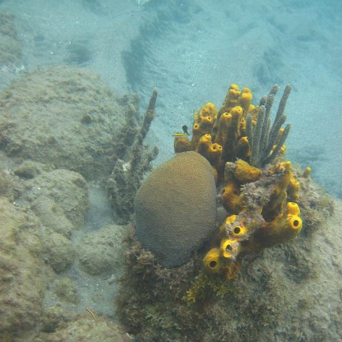IMG_0915 IMG_0915