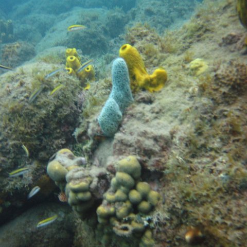 IMG_0916 IMG_0916
