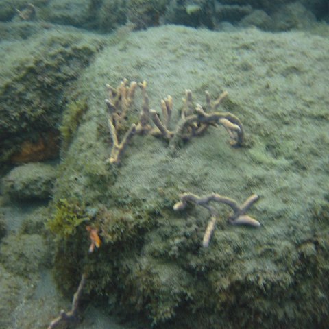 IMG_0918 IMG_0918