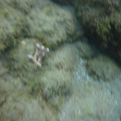 IMG_0919 IMG_0919