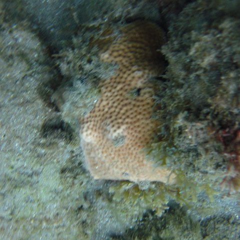 IMG_0920 IMG_0920
