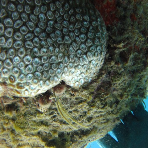 IMG_0922 IMG_0922