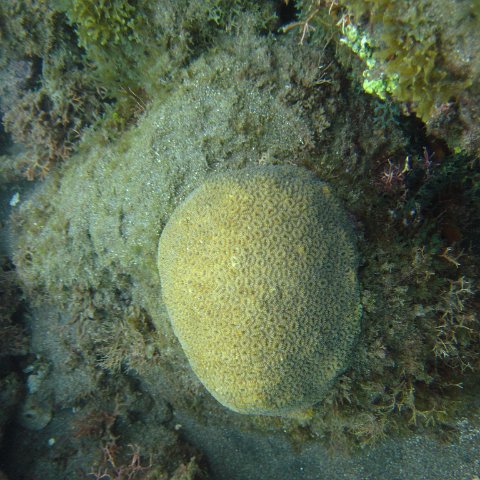 IMG_0925 IMG_0925