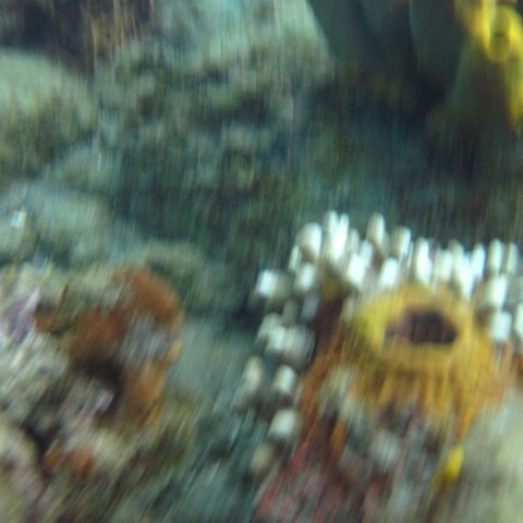 IMG_0926 IMG_0926