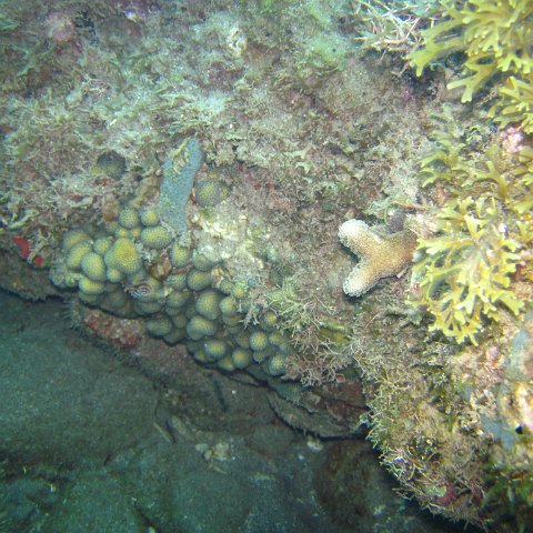 IMG_0928 IMG_0928