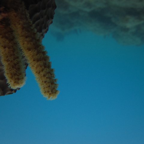 IMG_0929 IMG_0929