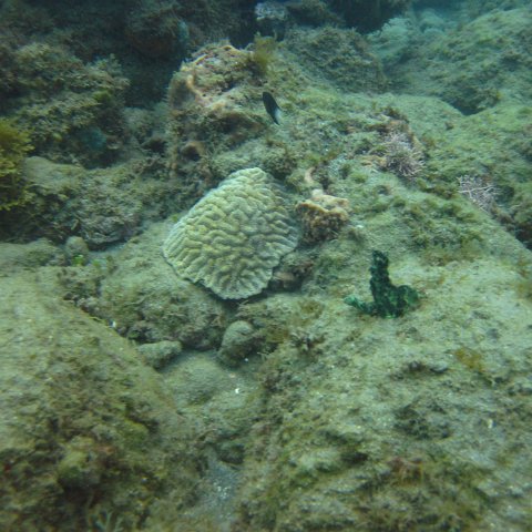 IMG_0932 IMG_0932