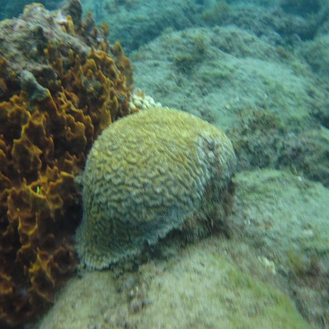 IMG_0937 IMG_0937