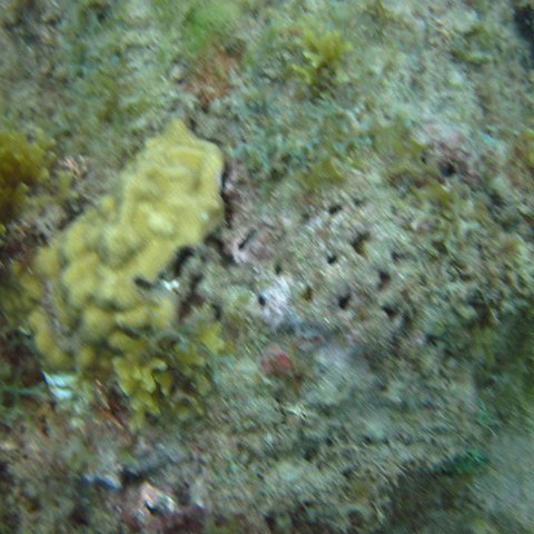 IMG_0938 IMG_0938