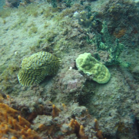 IMG_0939 IMG_0939