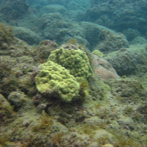 IMG_0940 IMG_0940