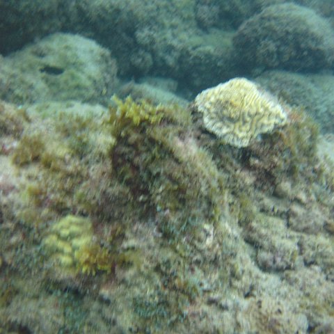 IMG_0941 IMG_0941
