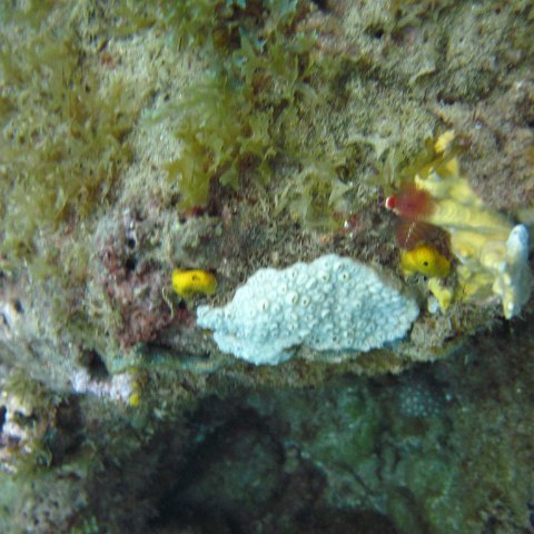 IMG_0944 IMG_0944