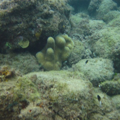 IMG_0945 IMG_0945