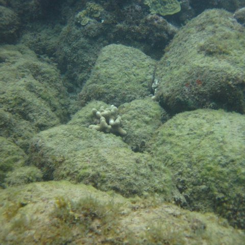 IMG_0947 IMG_0947