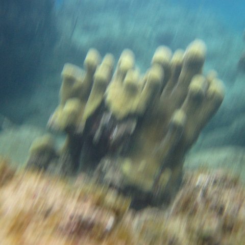 IMG_0948 IMG_0948