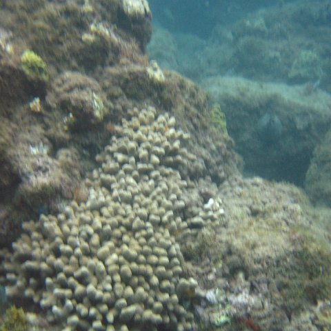 IMG_0949 IMG_0949