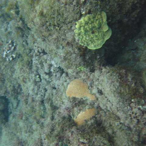 IMG_0951 IMG_0951