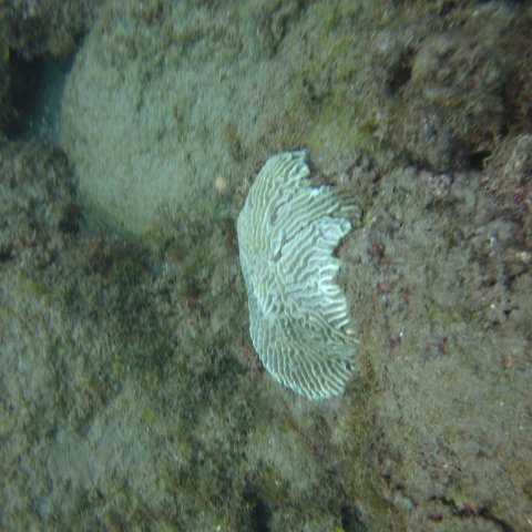 IMG_0952 IMG_0952