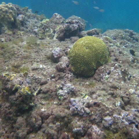 IMG_0956 IMG_0956