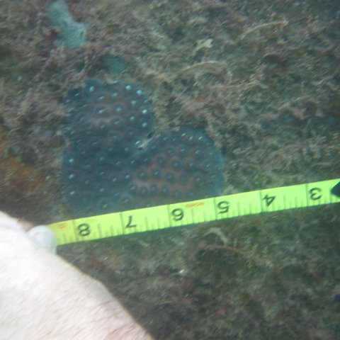 IMG_1107 IMG_1107