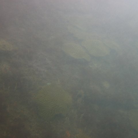 IMG_1109 IMG_1109