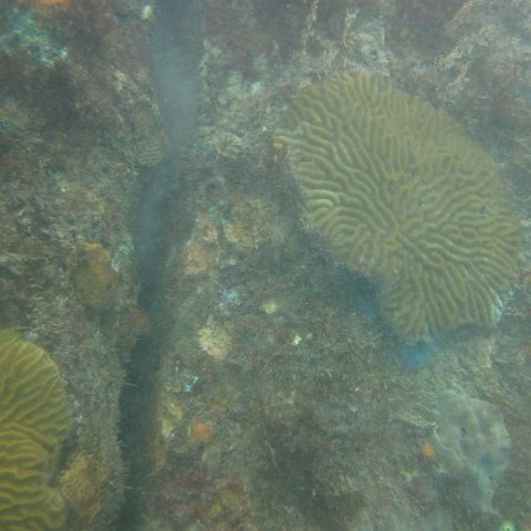 IMG_1110 IMG_1110