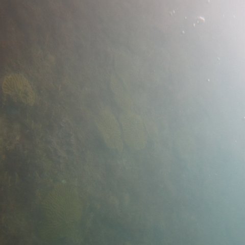IMG_1111 IMG_1111