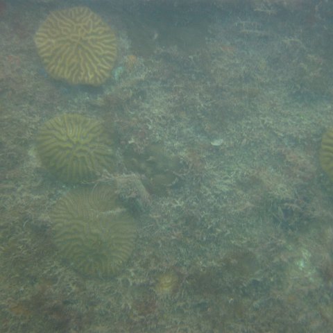 IMG_1112 IMG_1112